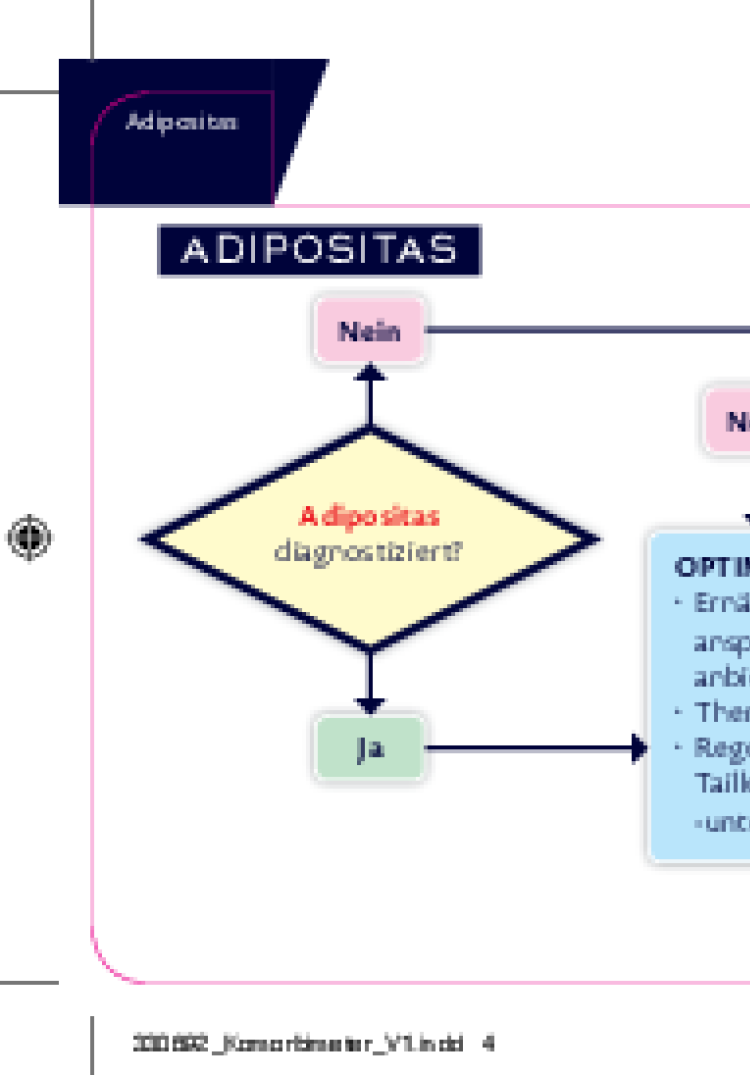 komorbimeter adipositas